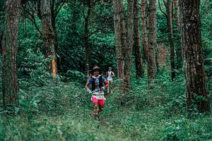 BIB: 
                            <button type="button" onclick="openModal(25236780)" class="btn btn-primary btn-sm float-right btn-popup" data-toggle="modal" data-target=".modal-high-quality">
                        <i class="fas fa-shopping-cart"></i> Add to Cart
                    </button>
                                            <button type="button" onclick="isThisMe(25236780, true)" class="btn btn-success btn-sm float-right btn-popup btn-isme hidden" data-toggle="tooltip" data-placement="bottom" title="นี่คือรูปของคุณใช่ไหม คลิกที่นี่เพื่อเอาเข้าอัลบั้ม">
                        <i class="fas fa-plus"></i> Add to album
                    </button>
                    <button type="button" onclick="isThisMe(25236780, false)" class="btn btn-warning btn-sm float-right btn-popup btn-isnotme hidden">
                        <i class="fas fa-ban"></i> Remove from album
                    </button>